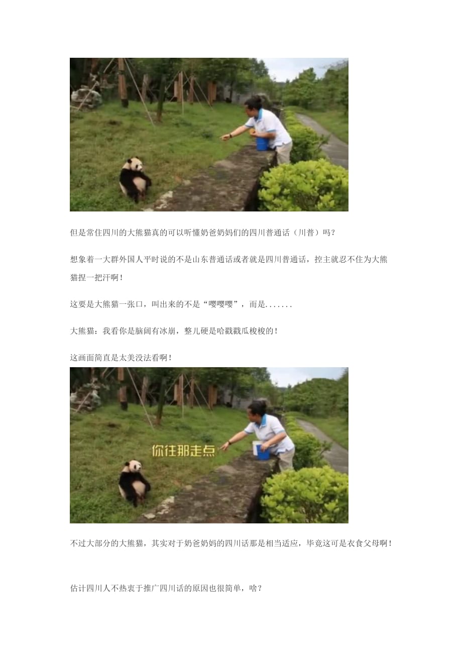 大熊猫为讨好饲养员 努力学会四川方言_第2页