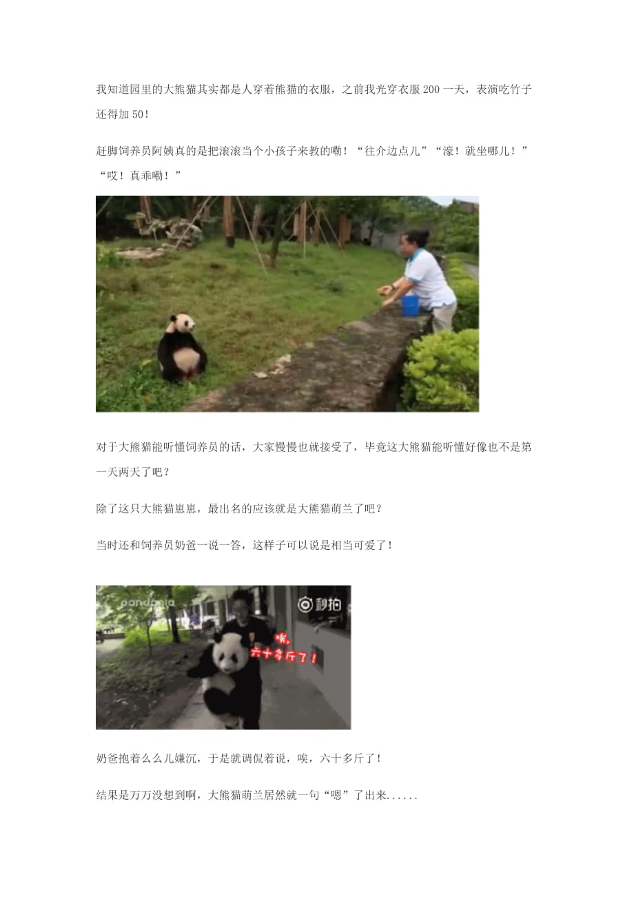 大熊猫为讨好饲养员 努力学会四川方言_第4页