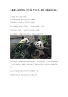 大熊猫为讨好饲养员 努力学会四川方言
