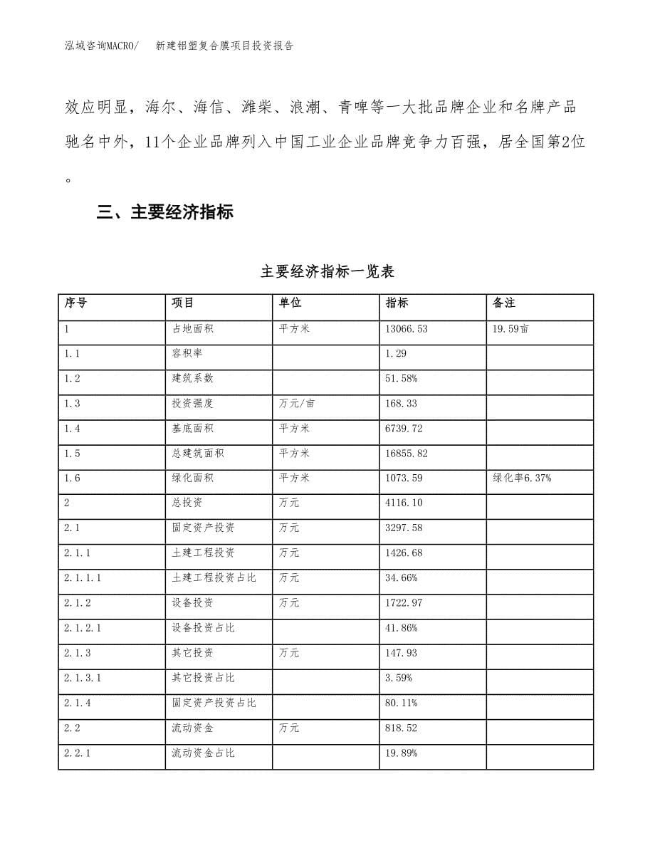 新建铝塑复合膜项目投资报告(项目申请).docx_第5页