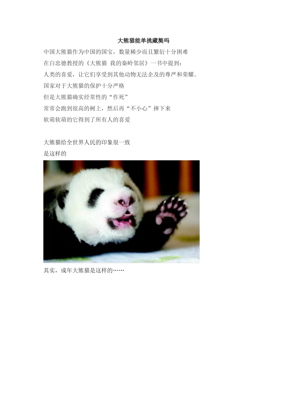 大熊猫能单挑藏獒吗_第1页