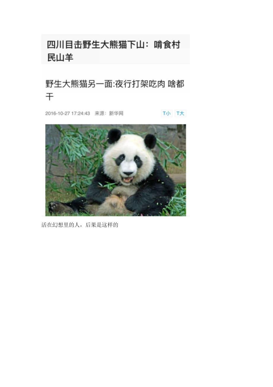 大熊猫能单挑藏獒吗_第4页
