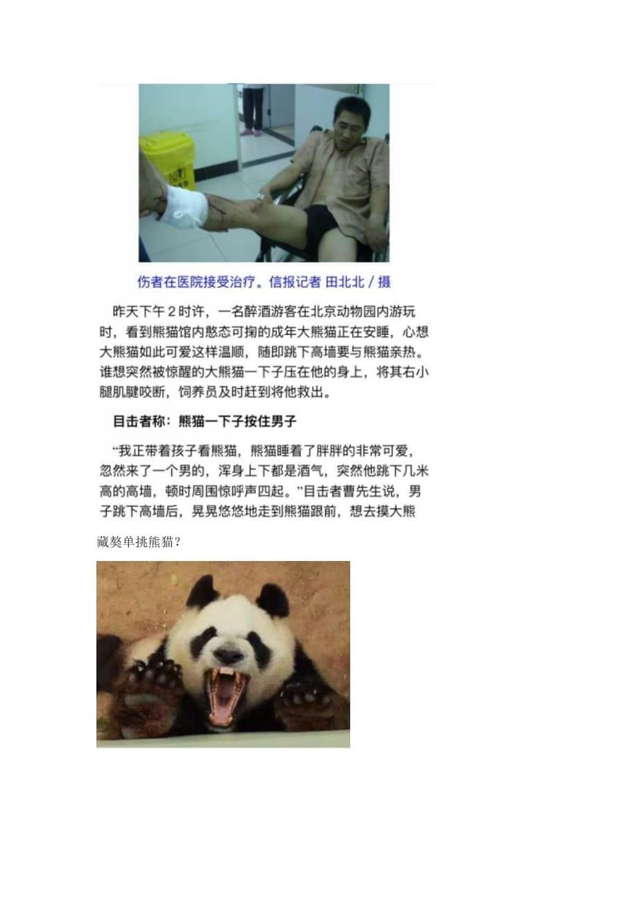 大熊猫能单挑藏獒吗_第5页