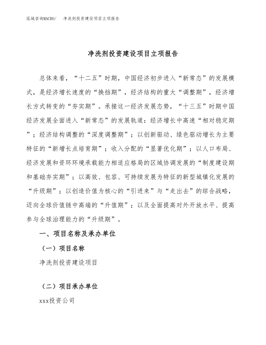 净洗剂投资建设项目立项报告(规划申请).docx_第1页