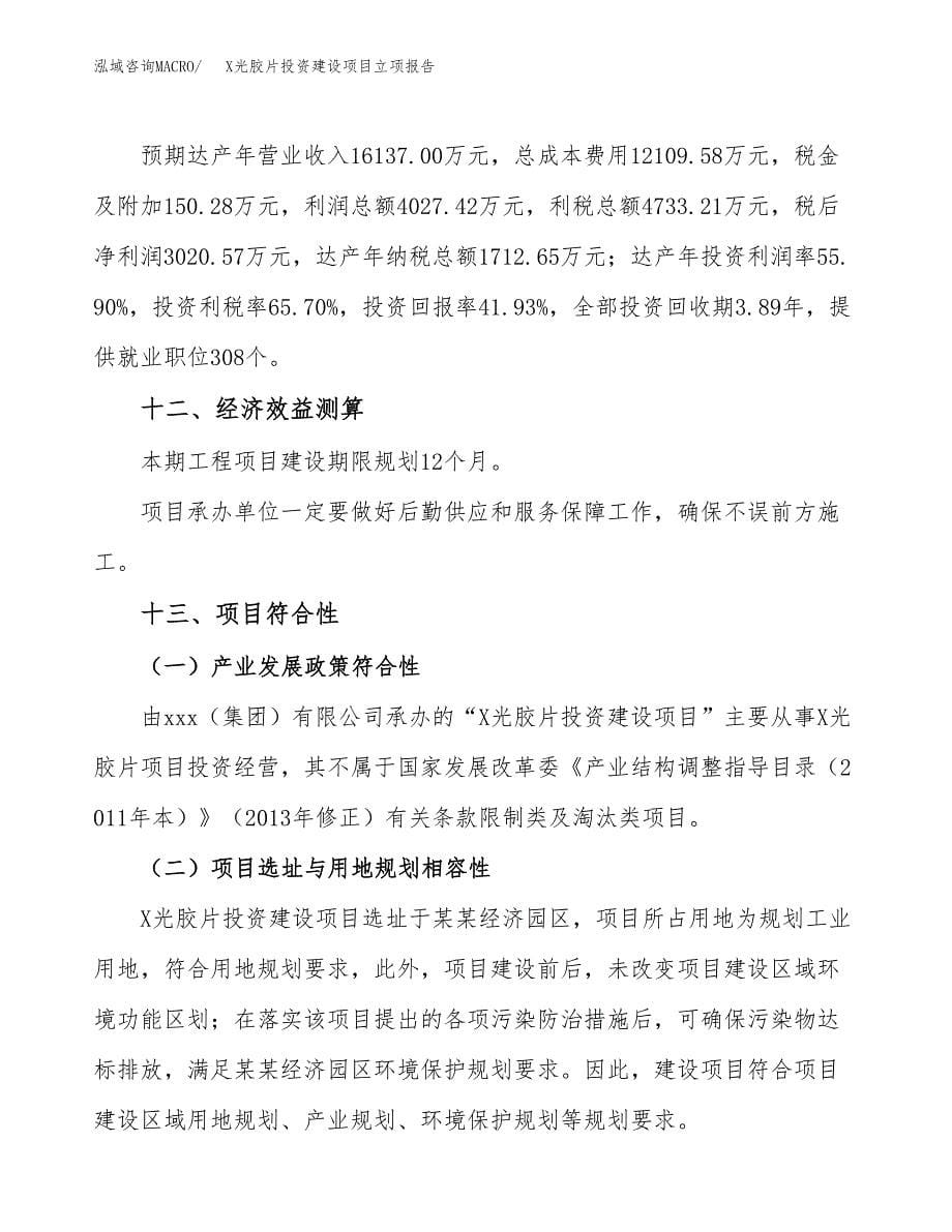 X光胶片投资建设项目立项报告(规划申请).docx_第5页