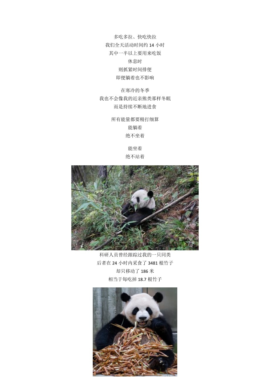 大熊猫 萌啥子哟 我是要雄起_第3页