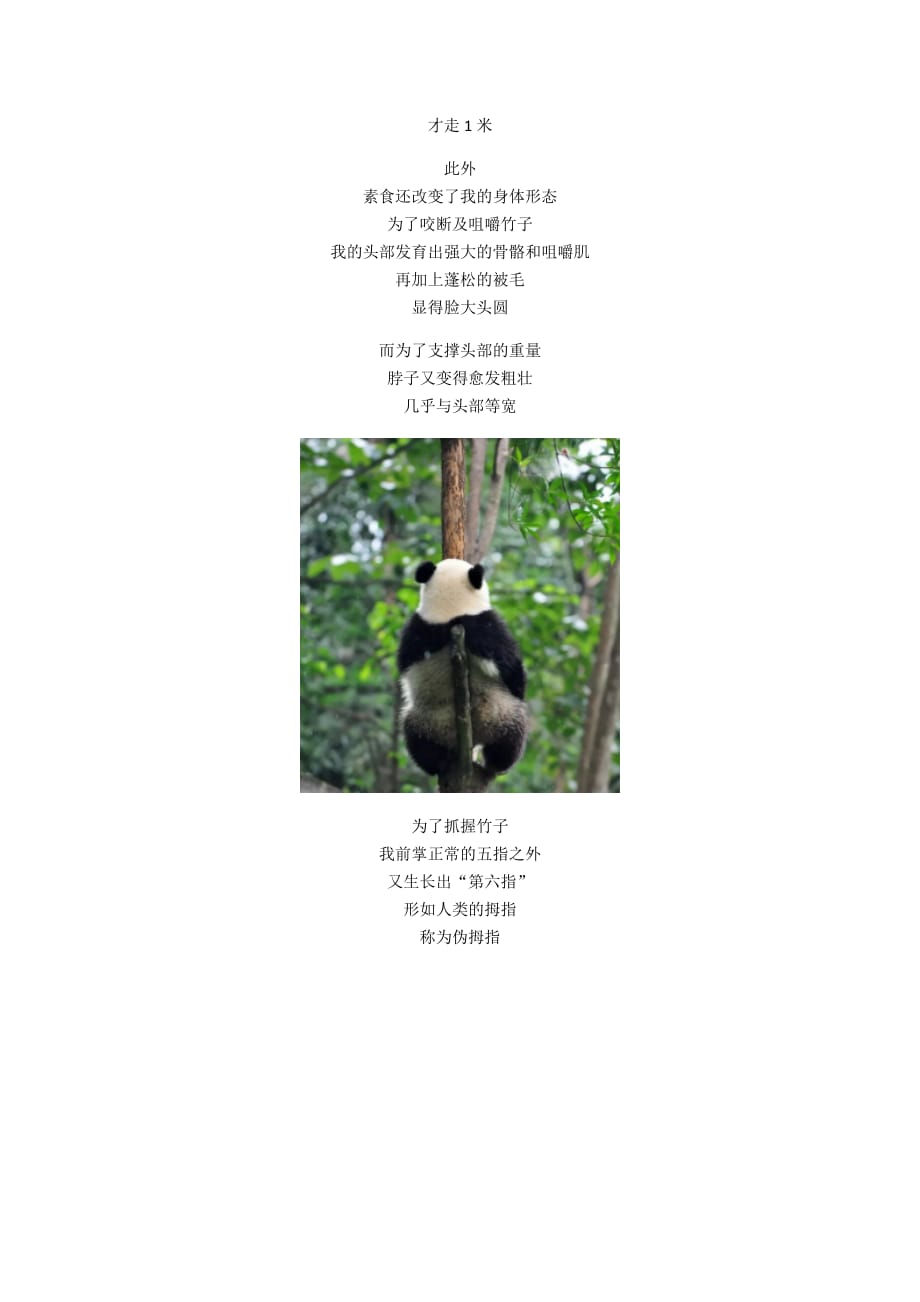 大熊猫 萌啥子哟 我是要雄起_第4页