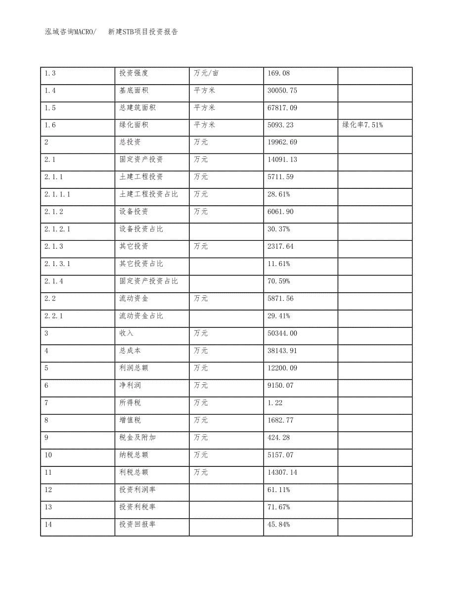 新建STB项目投资报告(项目申请).docx_第5页