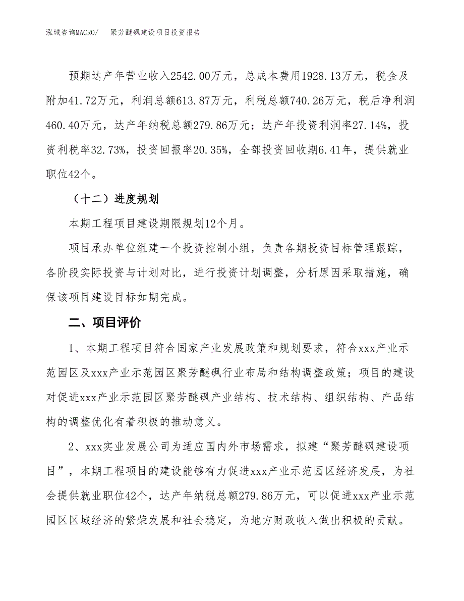 聚芳醚砜建设项目投资报告.docx_第3页