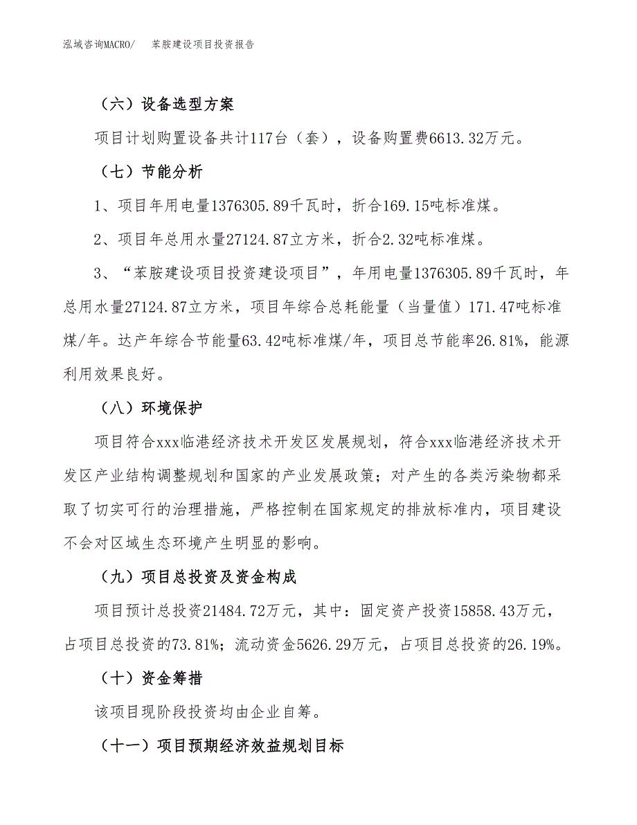 苯胺建设项目投资报告.docx_第2页