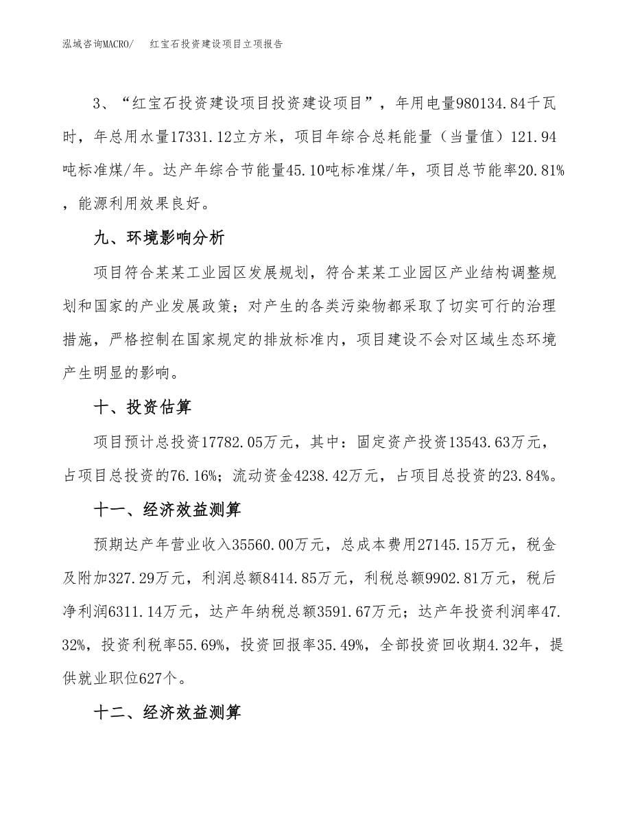 红宝石投资建设项目立项报告(规划申请).docx_第5页