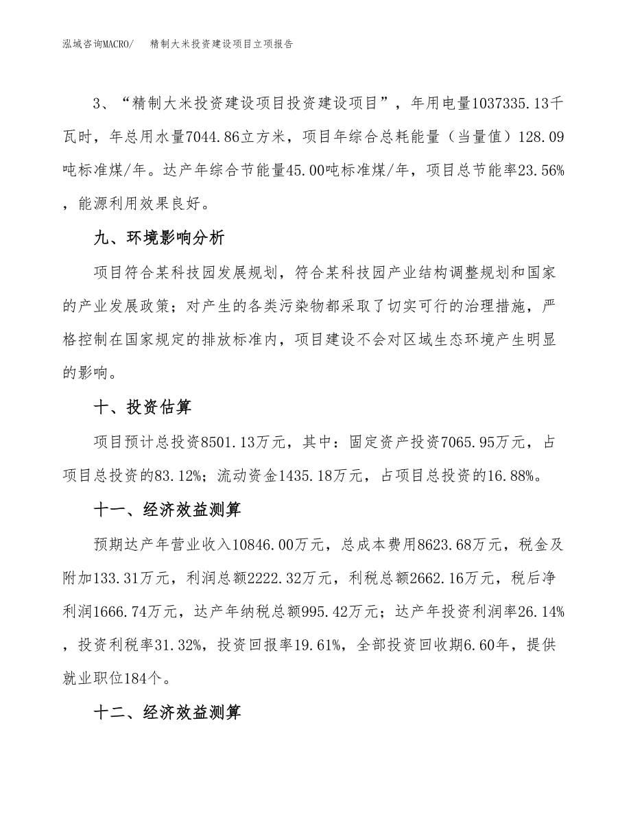 精制大米投资建设项目立项报告(规划申请).docx_第5页