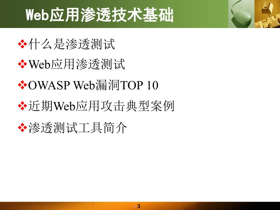 Web应用渗透技术.ppt_第3页