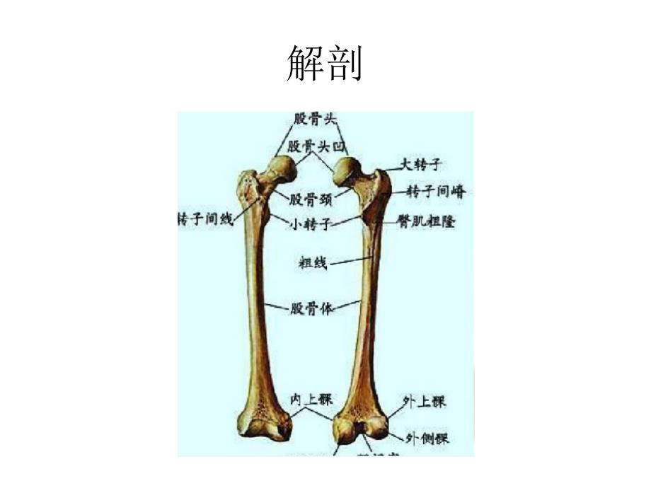 粗隆间骨折的护理_第4页