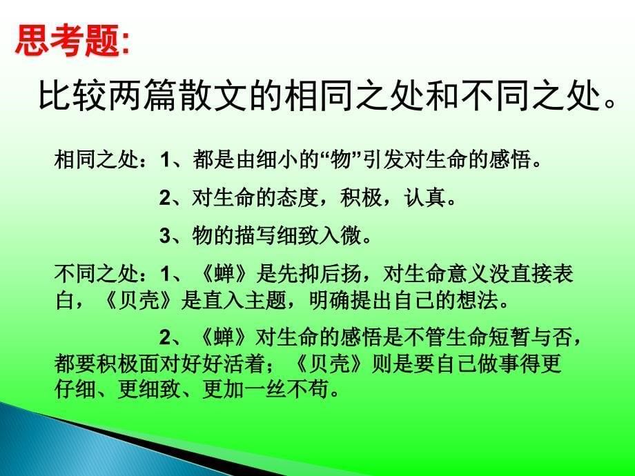 初中语文人教版七年级上《贝壳》课件模板_第5页