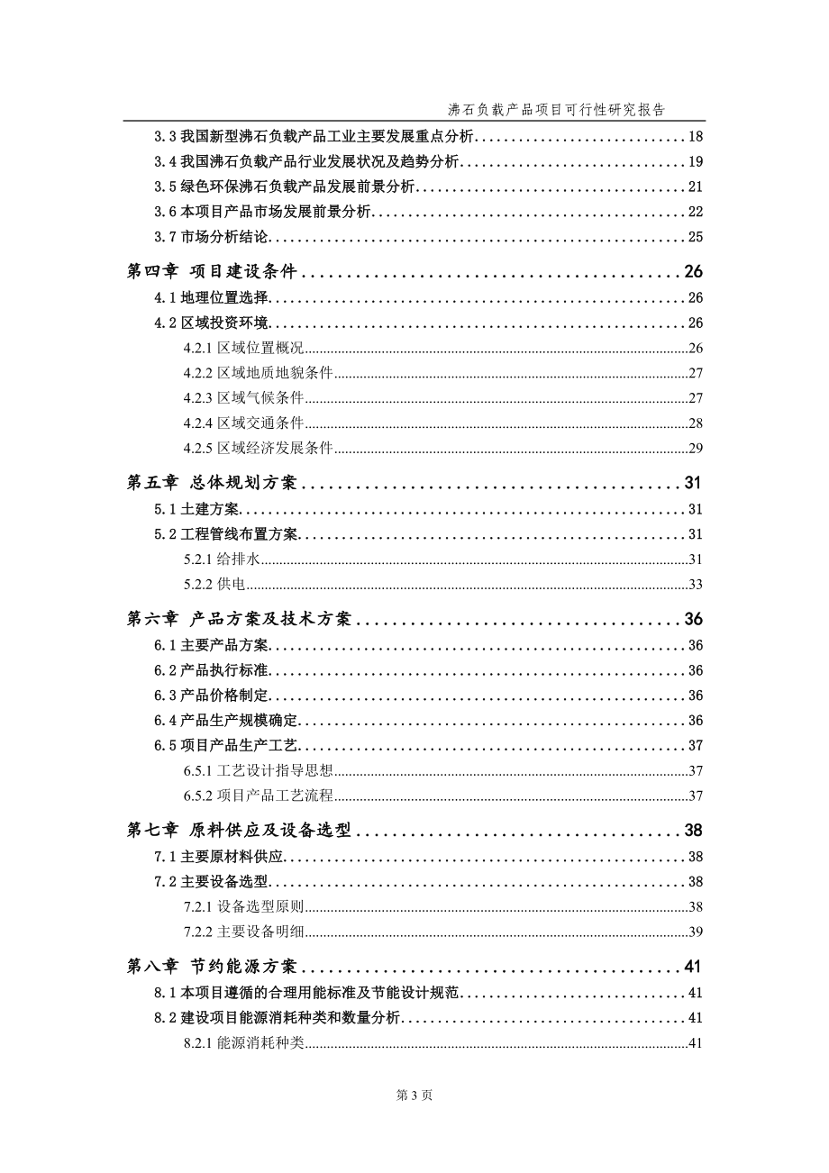 沸石负载产品项目可行性研究报告（备案实用案例）_第4页