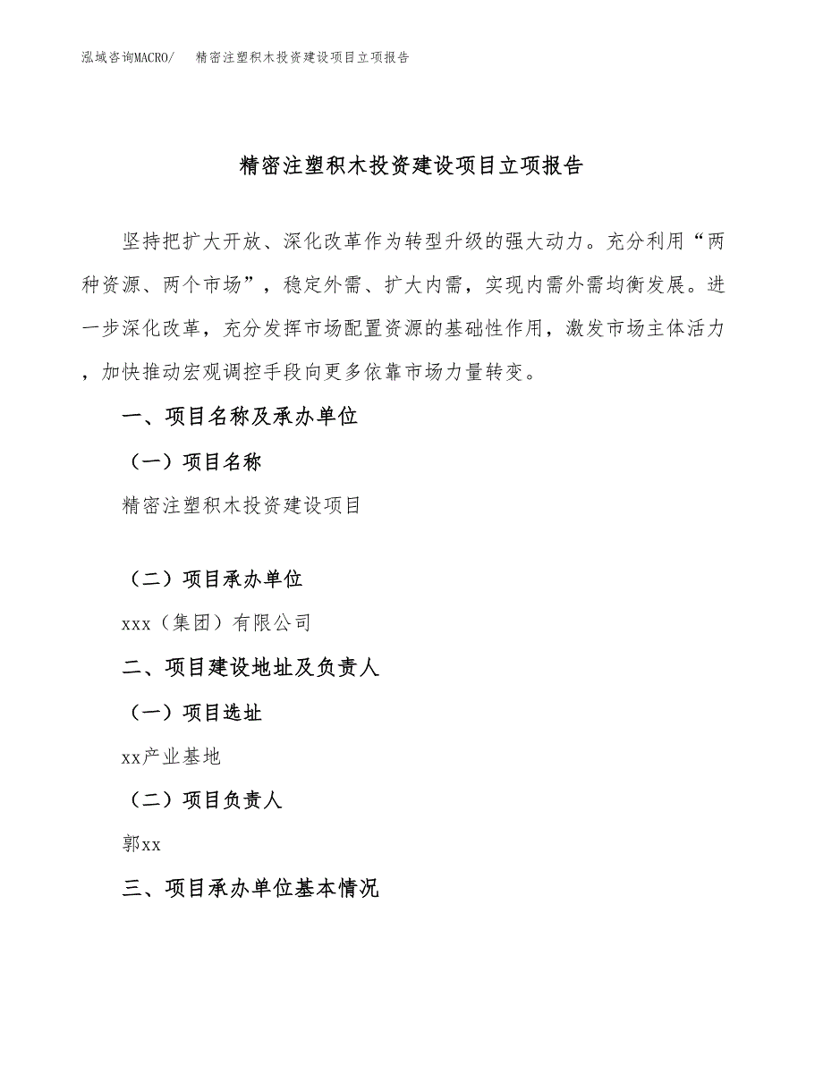 精密注塑积木投资建设项目立项报告(规划申请).docx_第1页