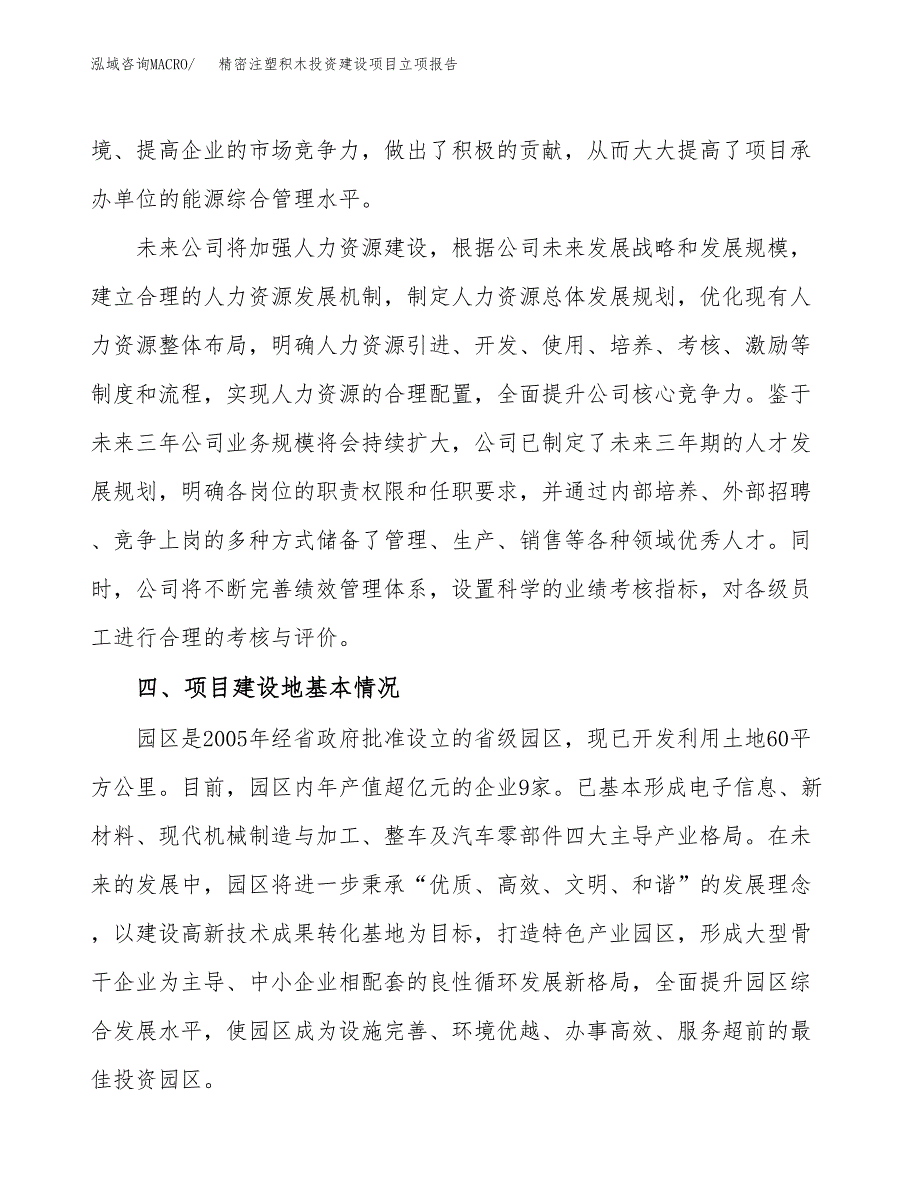 精密注塑积木投资建设项目立项报告(规划申请).docx_第3页