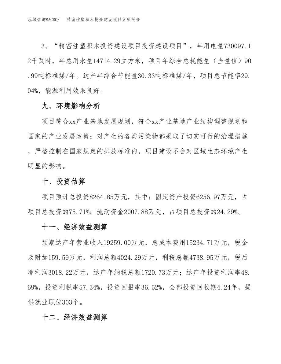 精密注塑积木投资建设项目立项报告(规划申请).docx_第5页