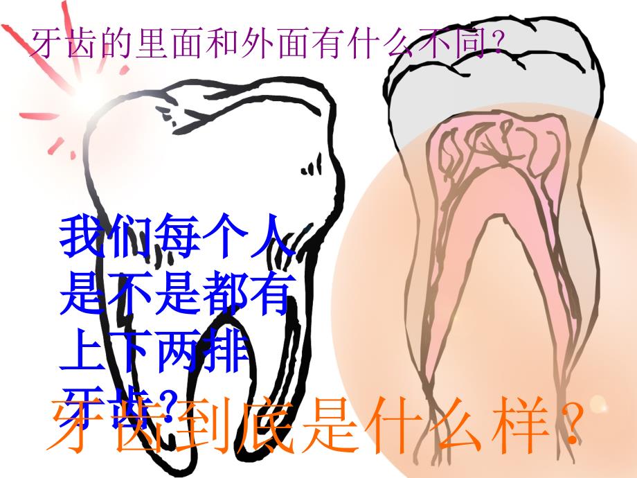 【5A文】二年级美术上册：刷牙_第4页