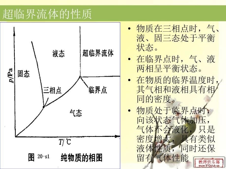 超临界流体萃取的基本原理_第5页