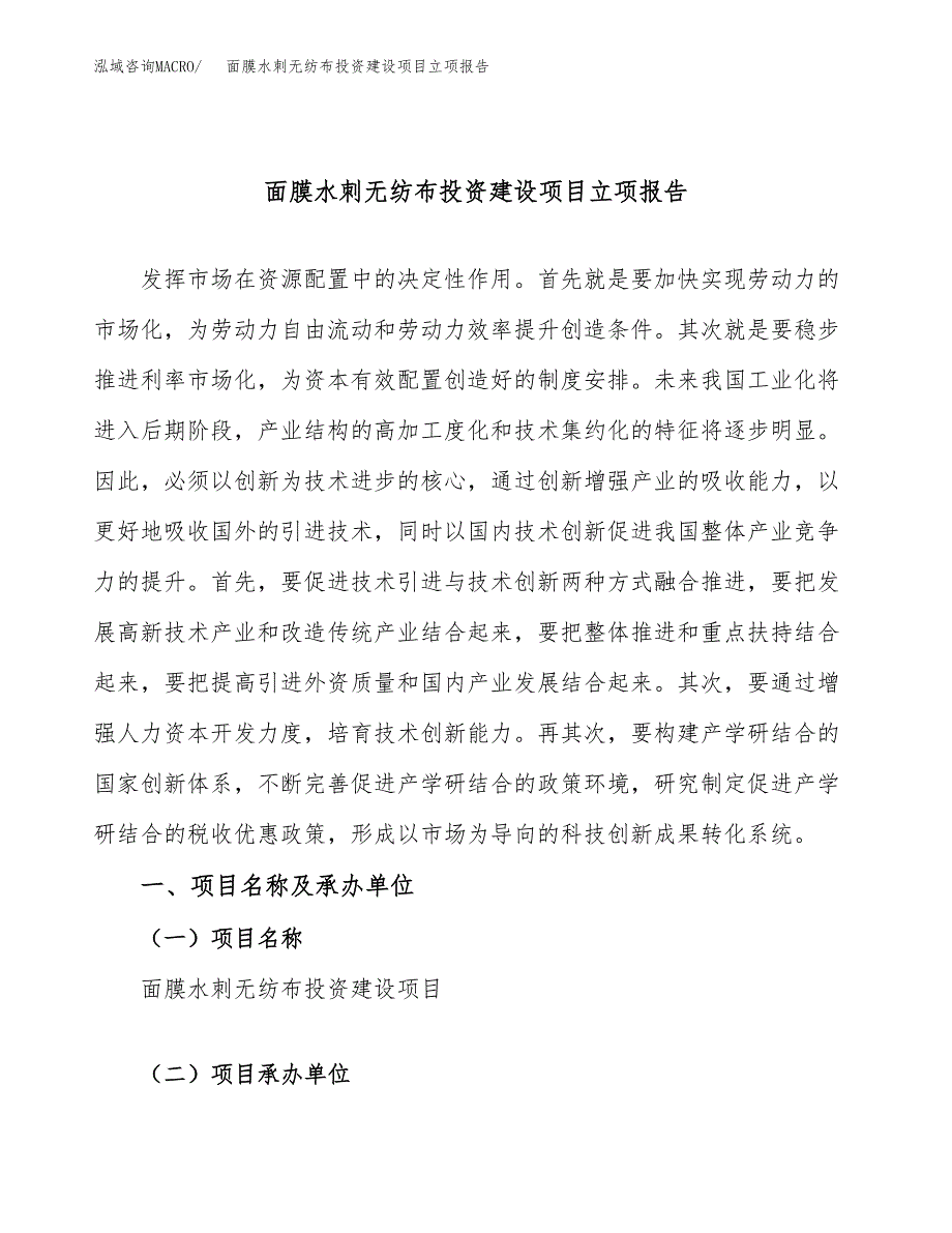 面膜水刺无纺布投资建设项目立项报告(规划申请).docx_第1页