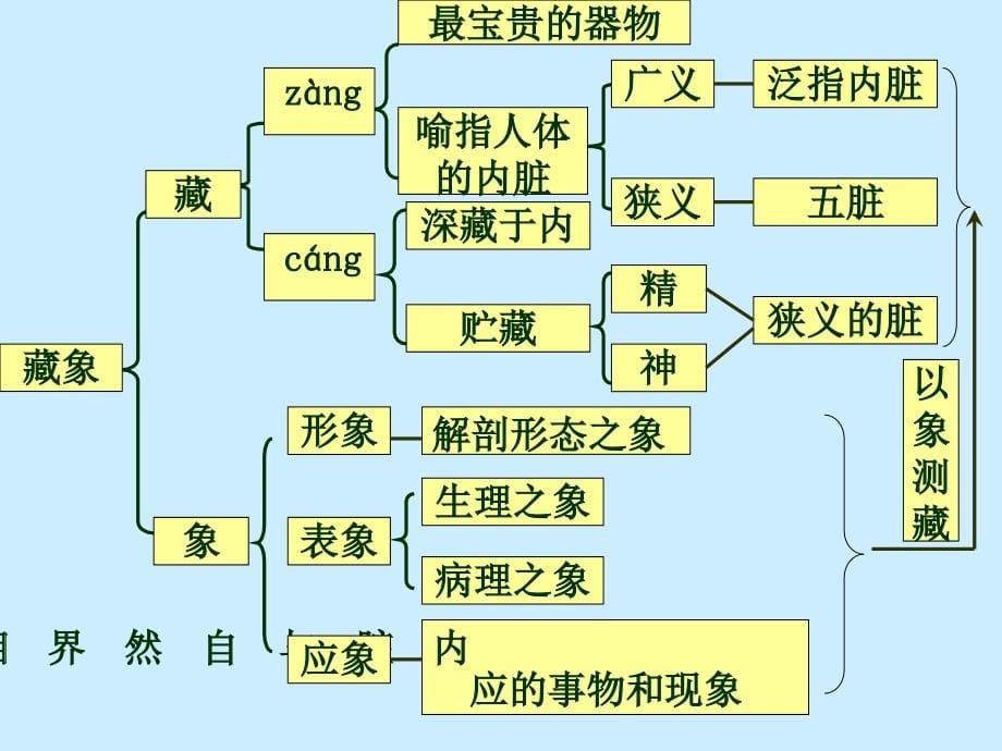 藏象五脏课件_第5页