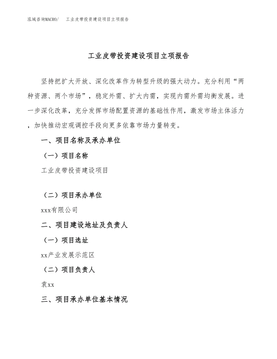 工业皮带投资建设项目立项报告(规划申请).docx_第1页