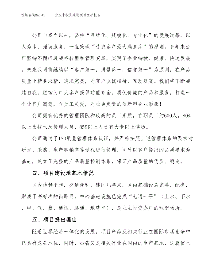 工业皮带投资建设项目立项报告(规划申请).docx_第2页