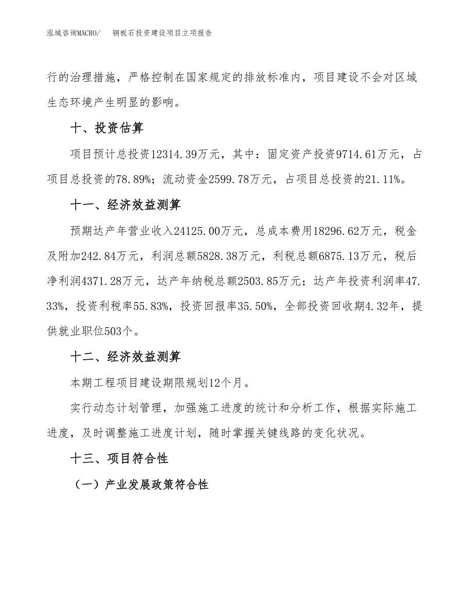 铜板石投资建设项目立项报告(规划申请).docx_第5页