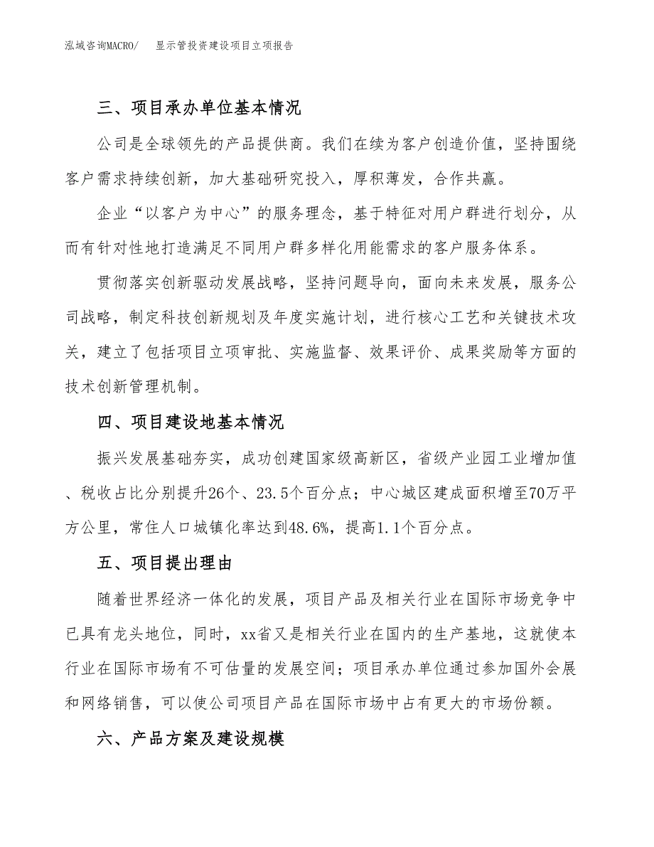 显示管投资建设项目立项报告(规划申请).docx_第2页