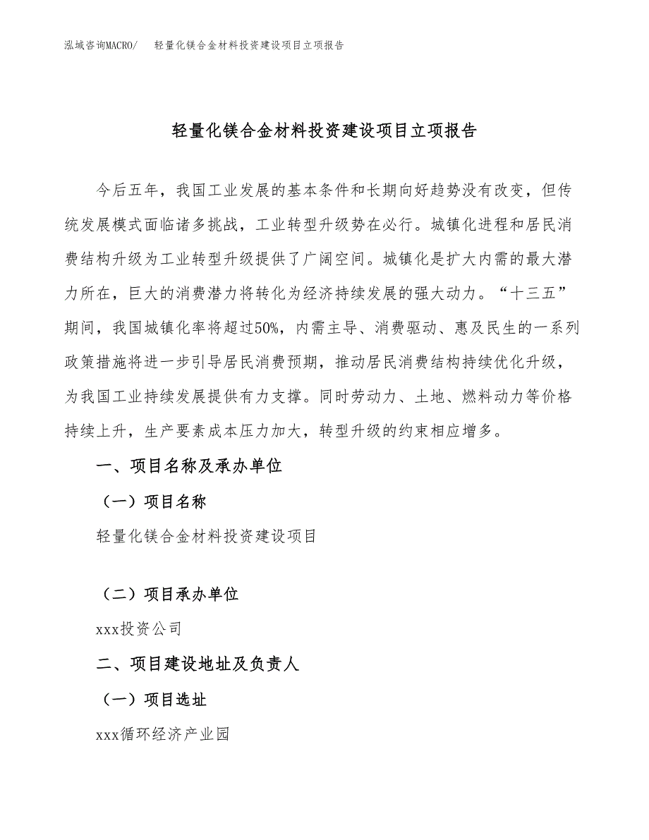 轻量化镁合金材料投资建设项目立项报告(规划申请).docx_第1页