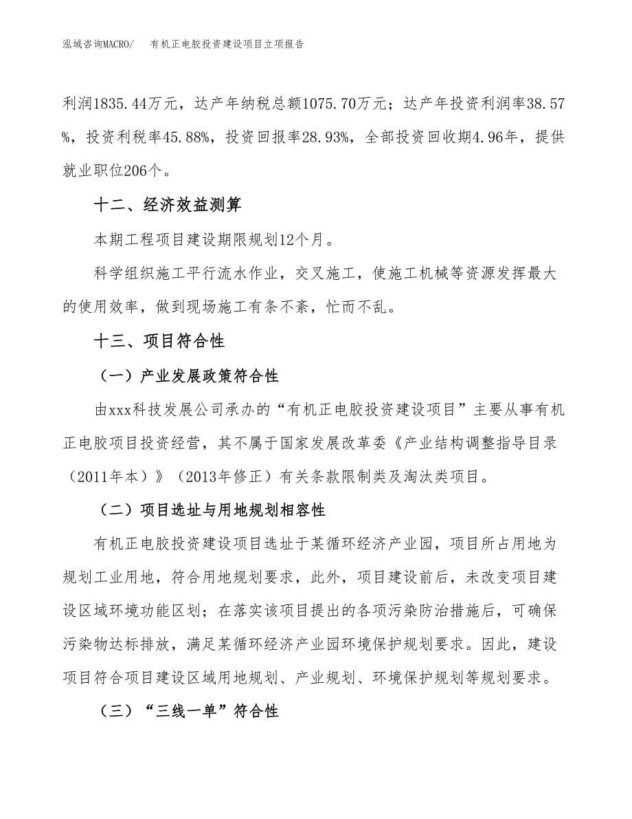 有机正电胶投资建设项目立项报告(规划申请).docx_第5页