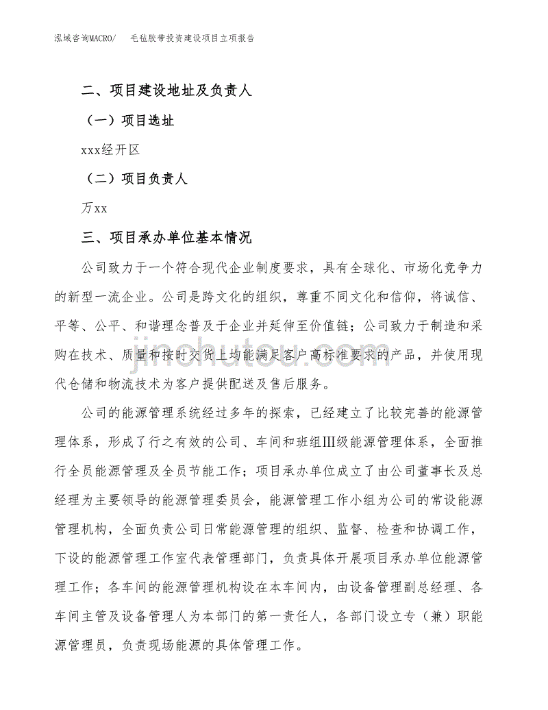 毛毡胶带投资建设项目立项报告(规划申请).docx_第2页