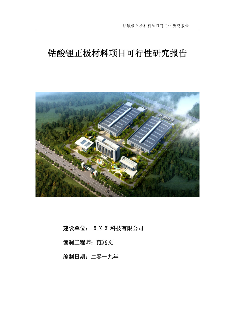 钴酸锂正极材料项目可行性研究报告【申请备案】_第1页