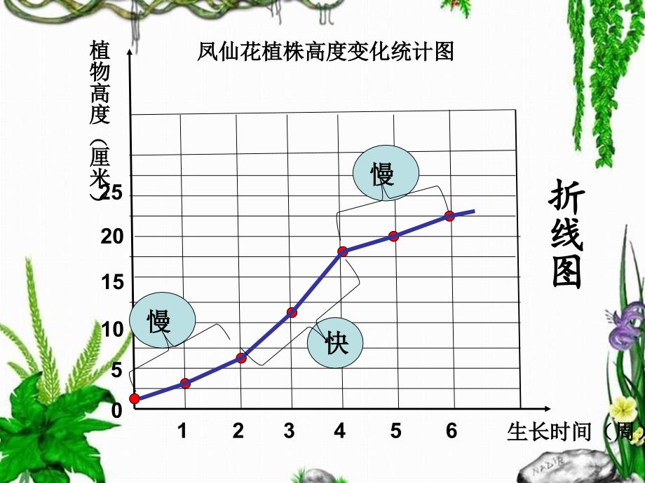 茎越长越高2_第3页