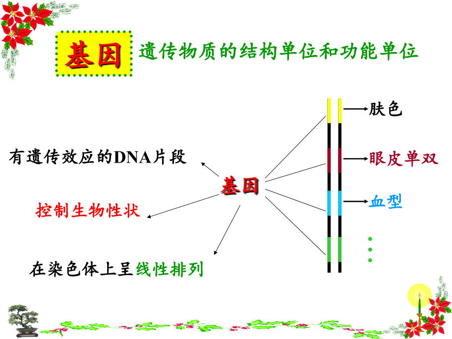 基因指导蛋白质的合成用_第1页