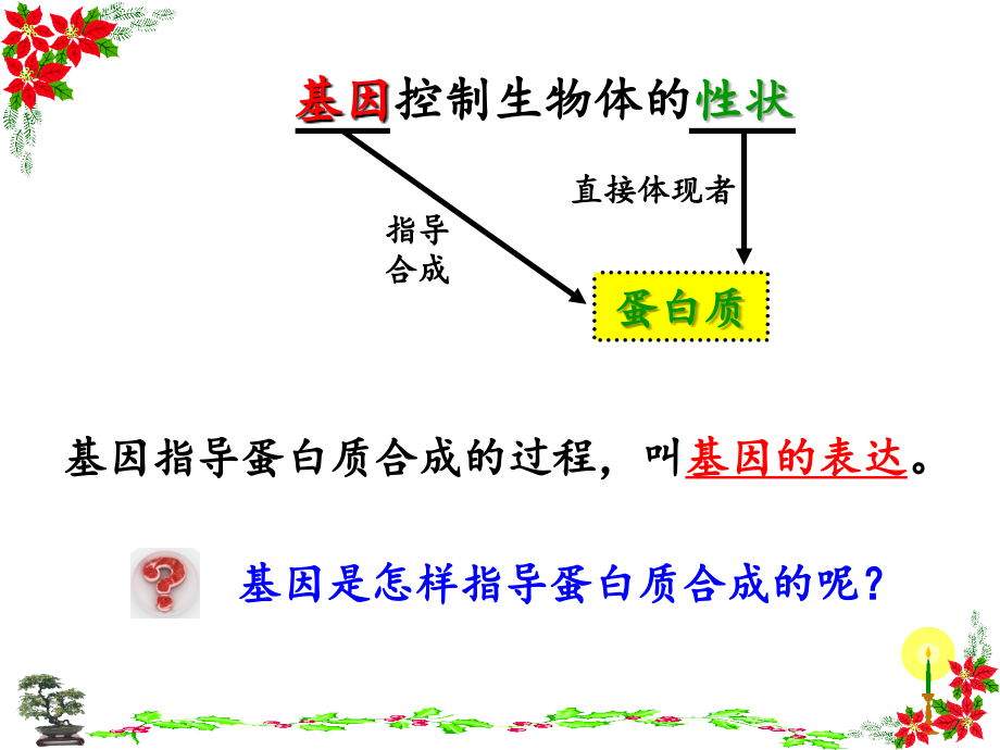 基因指导蛋白质的合成用_第2页