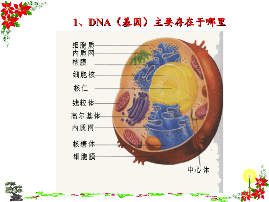 基因指导蛋白质的合成用_第4页