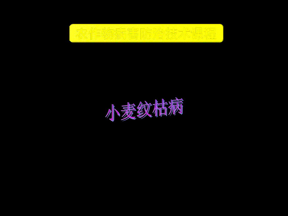 病原有性世代担子菌亚门禾谷角担菌2无性世代半知菌亚门禾谷丝_第1页