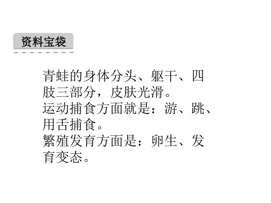 小学一年级下册语文《小青蛙》PPT动态优质课件精选_第3页