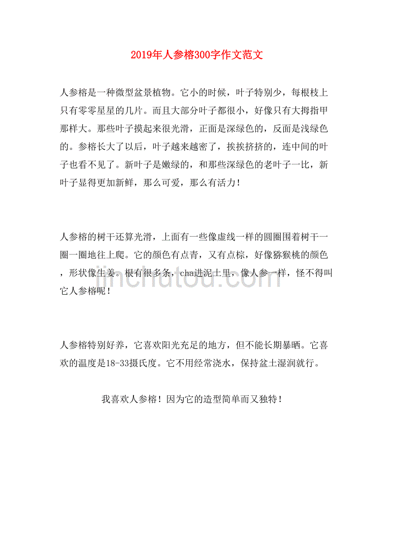 2019年人参榕300字作文范文_第1页