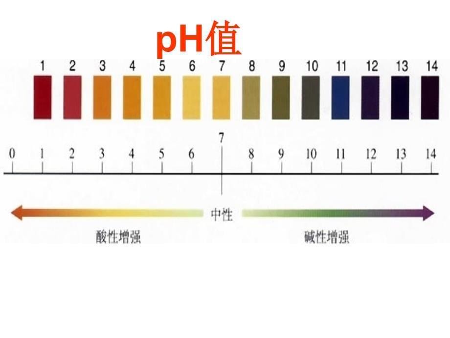 初中化学溶液酸碱性(2)资料_第5页