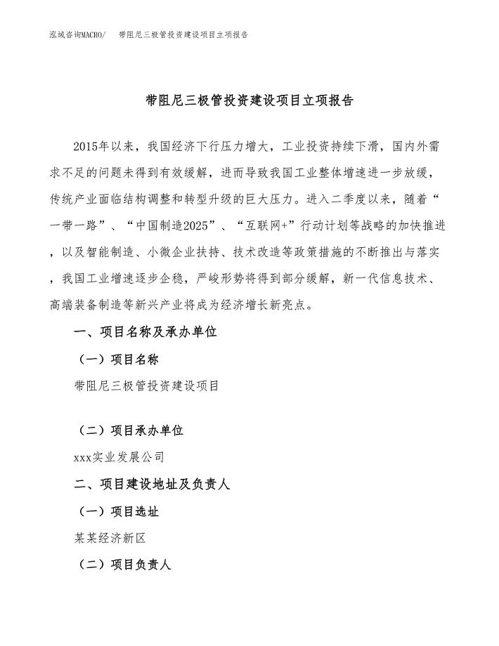 带阻尼三极管投资建设项目立项报告(规划申请).docx