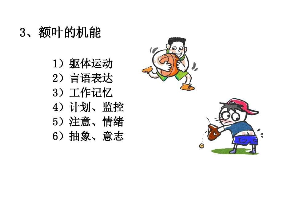 大脑额叶的功能定位-文档资料_第5页