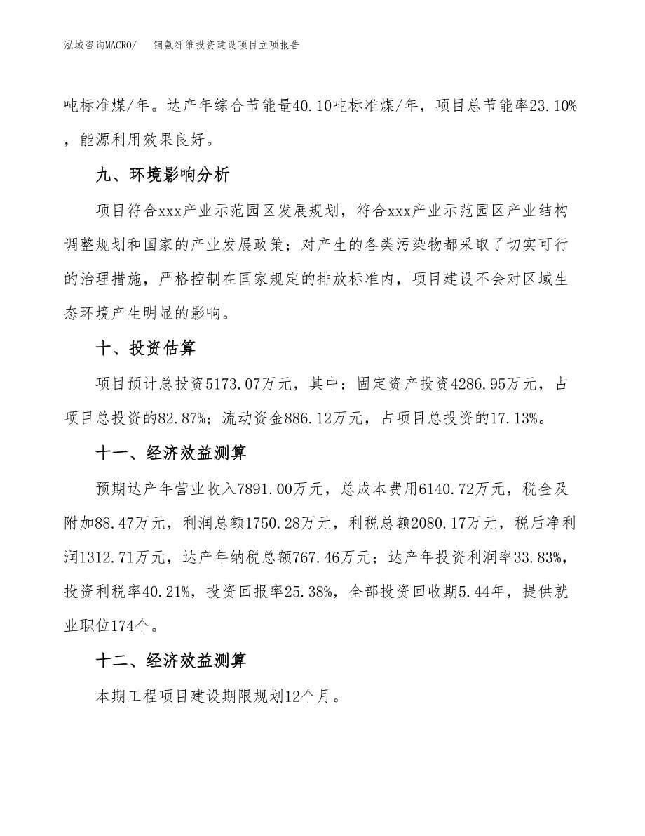 铜氨纤维投资建设项目立项报告(规划申请).docx_第5页