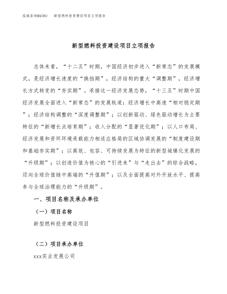 新型燃料投资建设项目立项报告(规划申请).docx_第1页