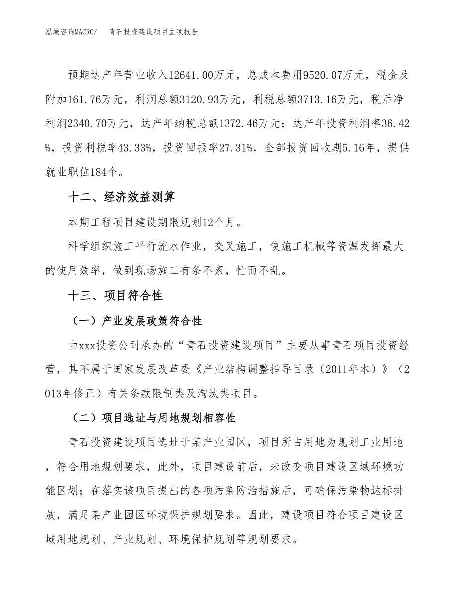 青石投资建设项目立项报告(规划申请).docx_第5页