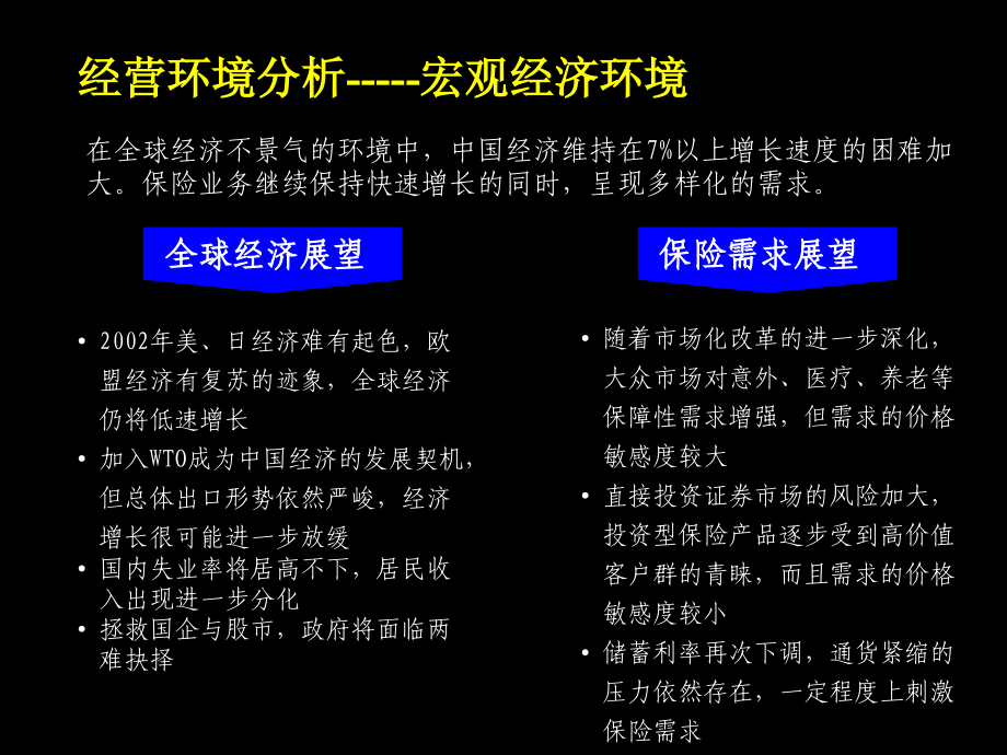 2019年麦肯锡—平安保险2002工作计划报告_第3页