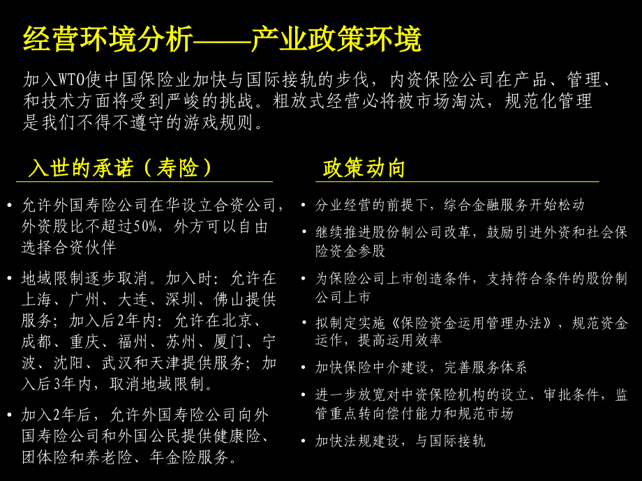 2019年麦肯锡—平安保险2002工作计划报告_第4页